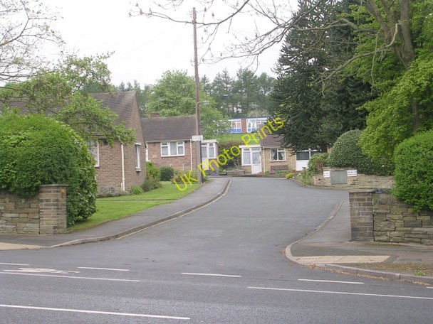 Photo 6"x4" Flower Garth - Harrogate Road Bank Top\/SE1836 c2009