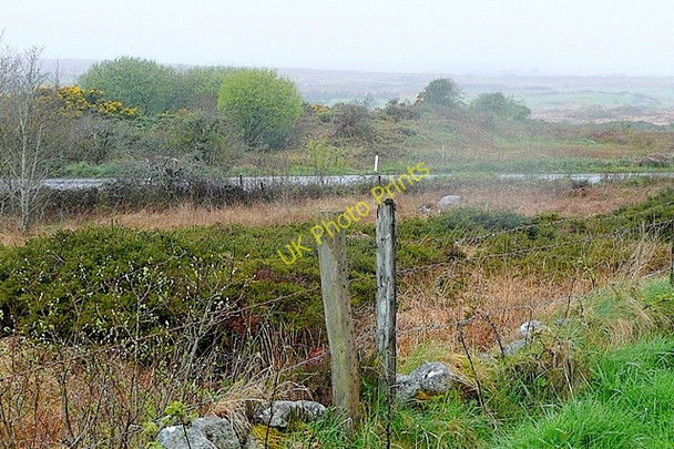 Photo 6"x4" Na hAcra\u00c3\u00ad Corra (Oddacres) Barna c2009