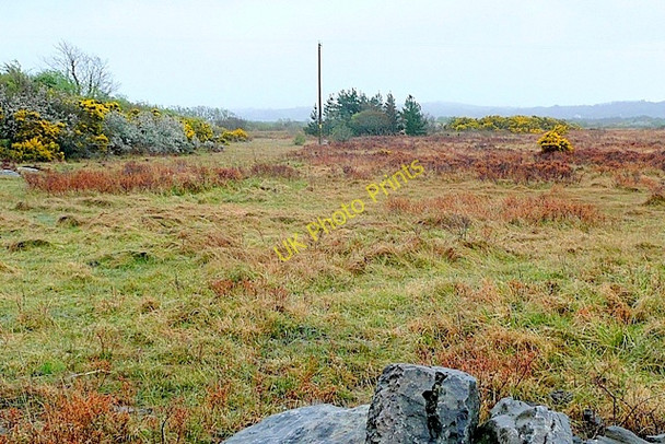 Photo 6"x4" Eanach Bh\u00c3\u00a9al Abhna Moycullen c2009 P2