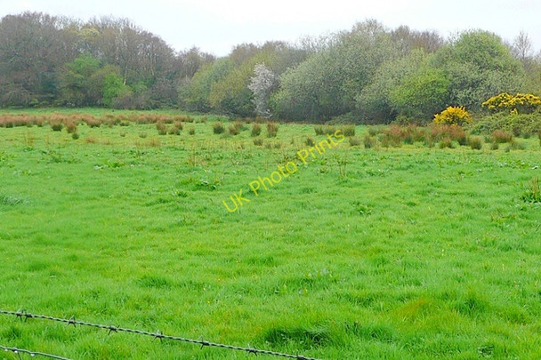 Photo 6"x4" Bhaile U\u00c3\u00ad Choirc (Ballycuirke) Moycullen c2009