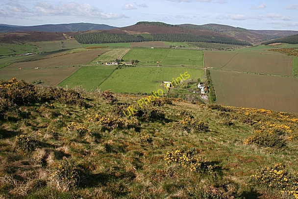 Photo 6"x4" Millhockie Hill Tullynessle c2009 P1