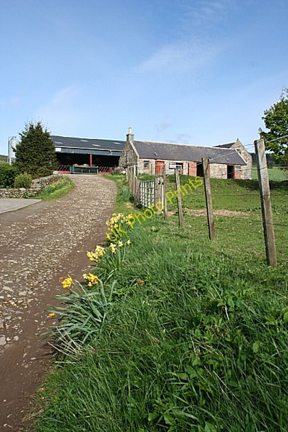 Photo 6"x4" Muckle Town Tullynessle c2009