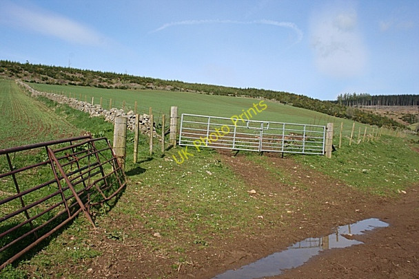 Photo 6"x4" Holms Hill Tullynessle c2009