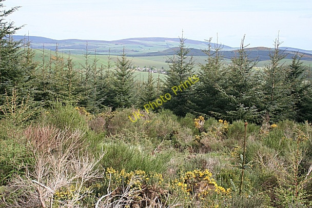 Photo 6"x4" Knock Saul Leslie\/NJ5924 c2009