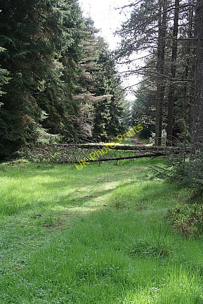 Photo 6"x4" Gordon Way Leslie\/NJ5924 c2009