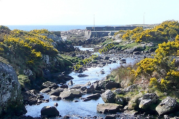 Photo 6"x4" Baile na hAbhann Theas (Ballynahown South) Cartron c2009 P1