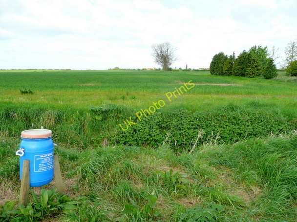 Photo 6"x4" Pheasant feeder by South Carr Drain East Ferry c2009