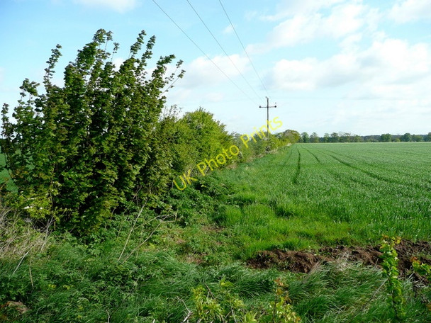 Photo 6"x4" Arable land near Redhill Farm Gunthorpe\/SK8096 c2009