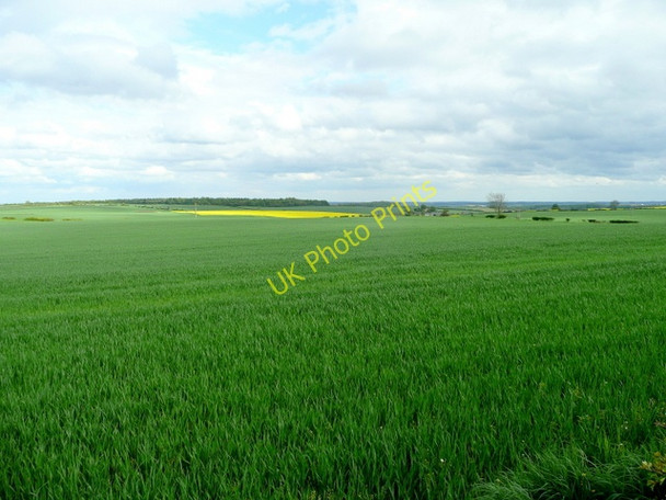 Photo 6"x4" Bolsover Moor arable 2 Bolsover c2009