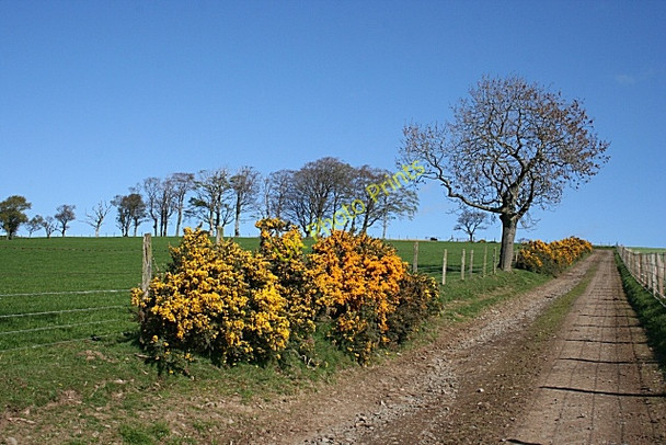 Photo 6"x4" Mains of Blackford Badenscoth c2009