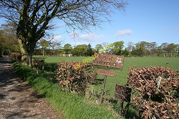 Photo 6"x4" A Plethora of Signs Rothienorman c2009