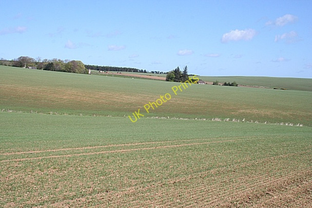 Photo 6"x4" Hill of Petty Rothienorman c2009