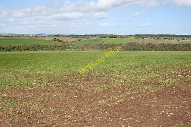Photo 6"x4" Near St John's Wells Woodhead\/NJ7938 c2009