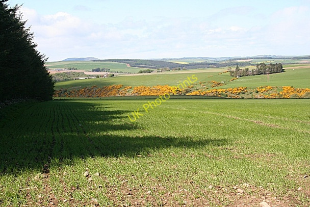 Photo 6"x4" Braes of Minnonie Woodhead\/NJ7938 c2009