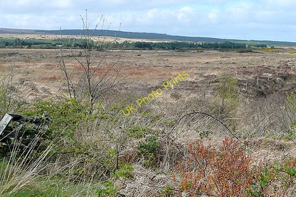 Photo 6"x4" Cluais Ch\u00c3\u00a9ir\u00c3\u00adn (Clooshgereen) Oughterard c2009