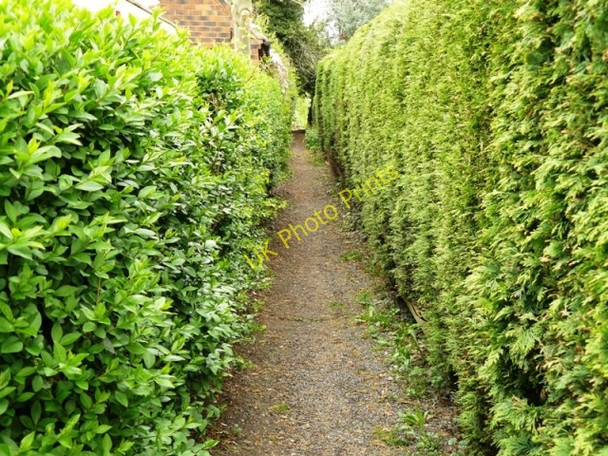Photo 6"x4" Kingston on Soar path Kingston on Soar c2009