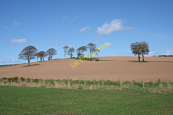 Photo 6"x4" Hillside Near Mill of Pot Cuminestown c2009