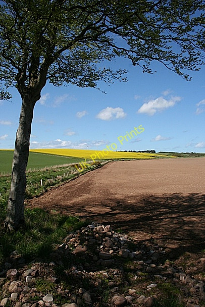 Photo 6"x4" Aultan Burn Cuminestown c2009