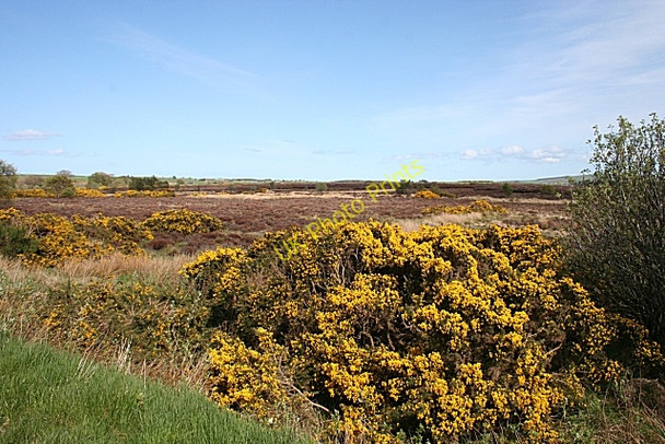 Photo 6"x4" Near Roundhill Middlemuir\/NJ9057 c2009