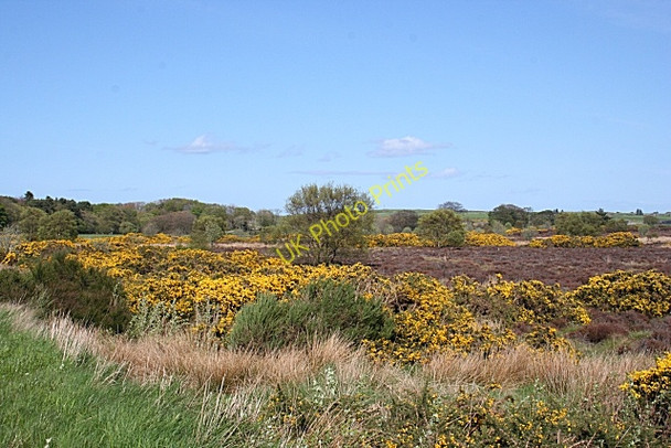 Photo 6"x4" Mossland Near Roundhill Craigmaud c2009