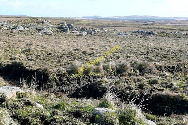 Photo 6"x4" Leitir Fir (Letterfir) Loughaunbeg c2009