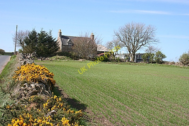 Photo 6"x4" Hillhead of Auchmacleddie Mountsolie c2009
