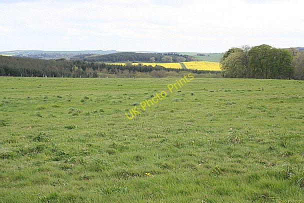 Photo 6"x4" Near Cairnorchies Fetterangus c2009