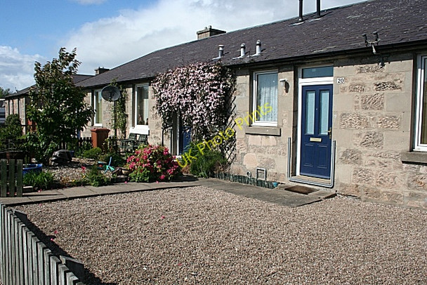 Photo 6"x4" Contrasting Gardens Elgin c2009