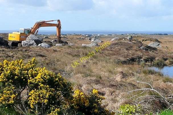 Photo 6"x4" Coill Rua Thiar (Kilroe West) Loughaunbeg c2009