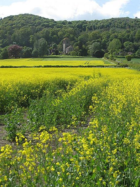 Photo 6"x4" Little Malvern Priory Upper Welland c2009
