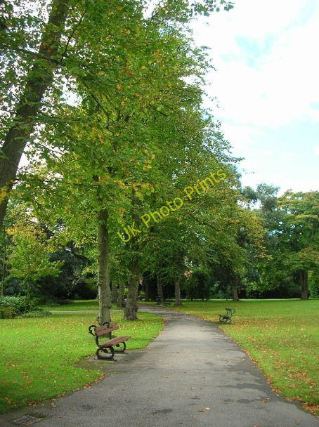 Photo 6"x4" Path in the valley gardens Harrogate c2008