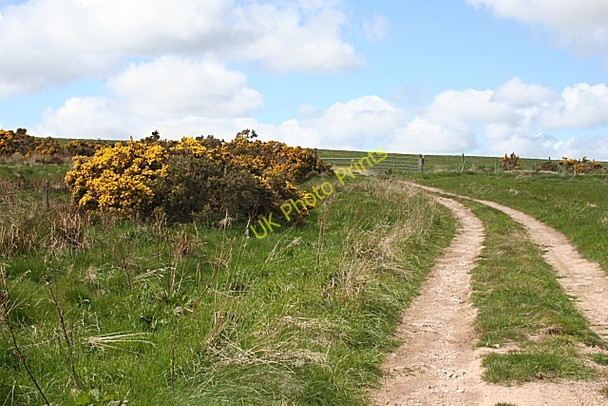 Photo 6"x4" Track near Moniemouies Clackmarras c2009