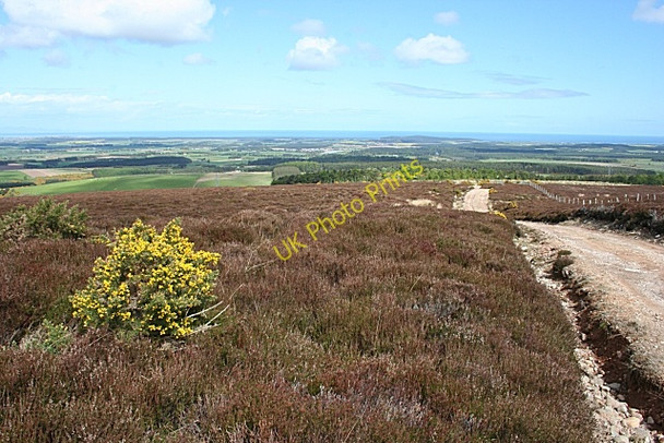 Photo 6"x4" Track on Brown Muir Clackmarras c2009