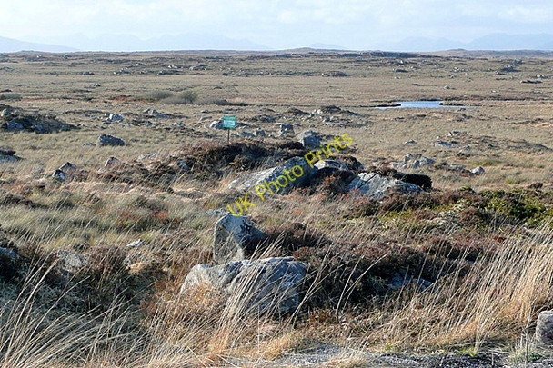 Photo 6"x4" Doire Choill (Derrykyle) Costelloe c2009