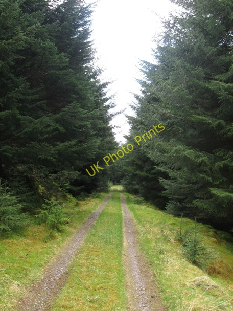 Photo 6"x4" Forestry track below Beinn Bh\u00c3\u00a0n, Allt an Lagain below left Laggan\/NN2996 c2009