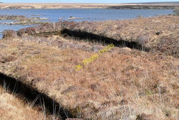 Photo 6"x4" Loch Chnoc\u00c3\u00a1n na Laoi (Lough Crockailleenalee) Loughaunbeg c2009