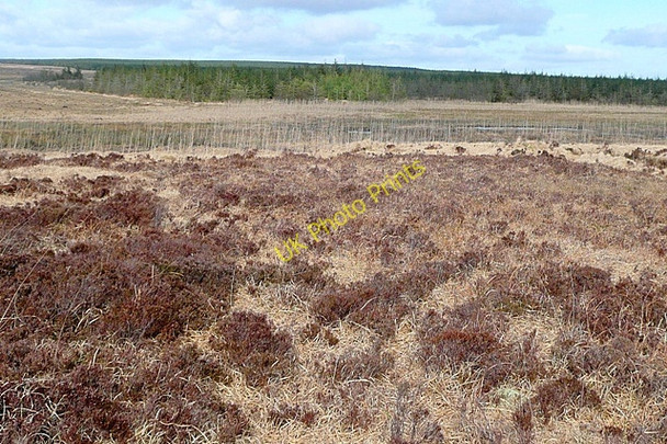 Photo 6"x4" Both Brach\u00c3\u00a1in (Bovroughan) Bog Loughaunbeg c2009 P1