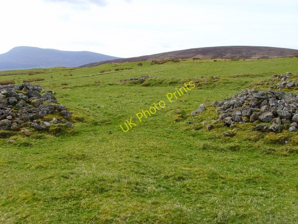 Photo 6"x4" Remains of former settlement at Learable. Learable c2009