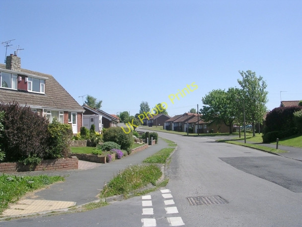 Photo 6"x4" Woodlands Avenue - viewed from Broom Road Tadcaster c2009 P1