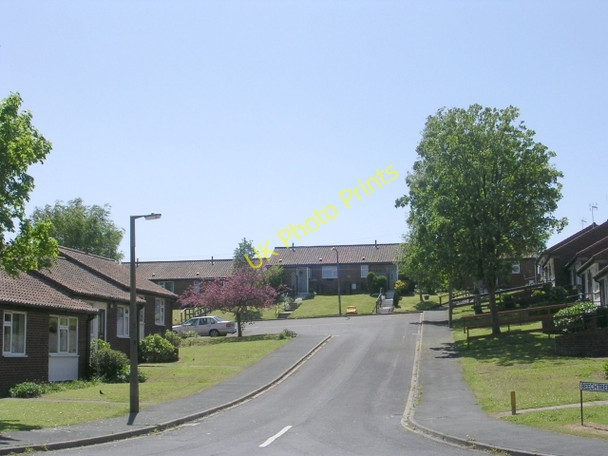 Photo 6"x4" Beechtree Road - Woodlands Avenue Tadcaster c2009