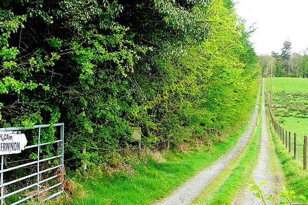 Photo 6"x4" Track to the Wye Cwmbach Llechrhyd c2009