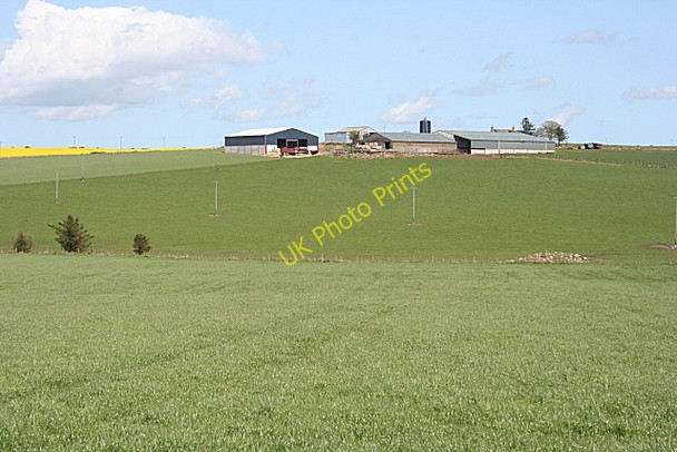 Photo 6"x4" Looking Towards Cortiecram Backhill of Fortrie c2009