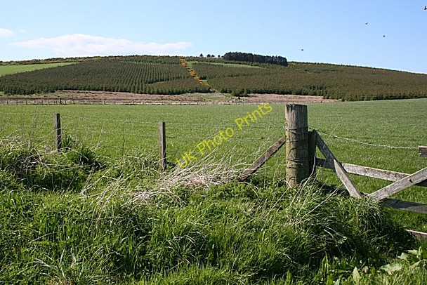 Photo 6"x4" Ardgrain Hill Berefold c2009