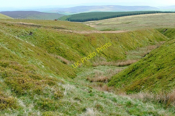 Photo 6"x4" Head of Davy Morgan's Dingle Llanfihangel Rhydithon c2009