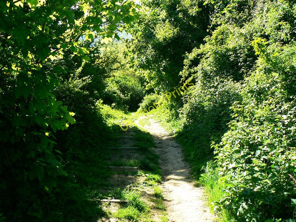 Photo 6"x4" Footpath to the north-west, Churchdown Hill Badgeworth c2009