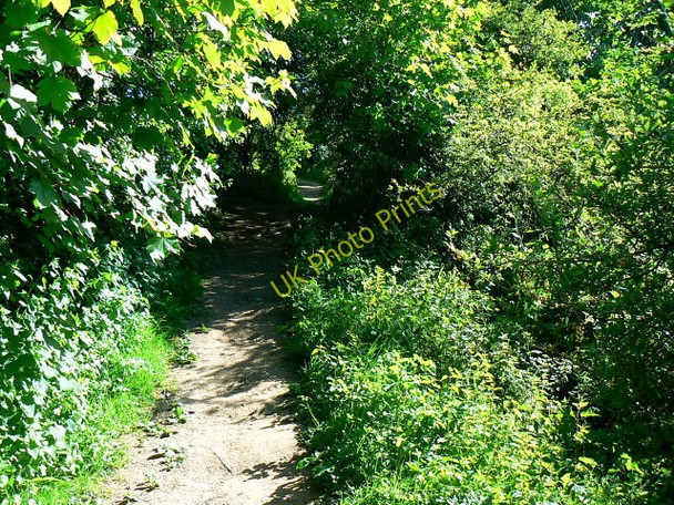 Photo 6"x4" Footpath to the south-west, Churchdown Hill Badgeworth c2009