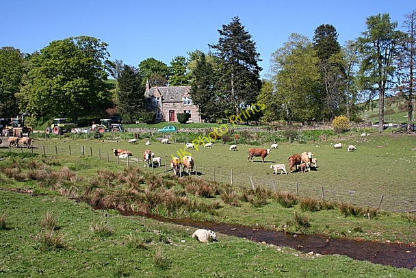 Photo 6"x4" Tomnavoulin Farm Tomnavoulin c2009