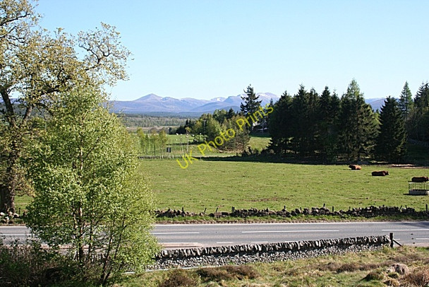 Photo 6"x4" View from the Roches Moutonn\u00c3\u00a9es Dulnain Bridge c2009