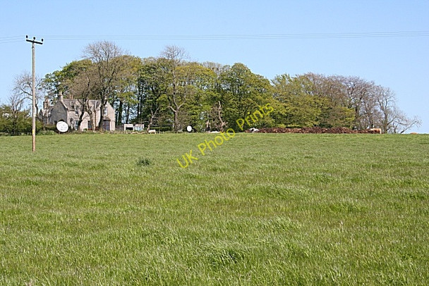 Photo 6"x4" Asleid House Ardo c2009
