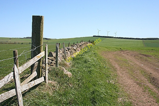 Photo 6"x4" Looking Towards the Hill of Balquhindachy Middlemuir\/NJ8643 c2009